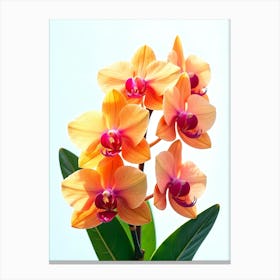 Whispers Of Orchids 4. Flower Canvas Print