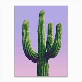 Cactus Print 1 Canvas Print