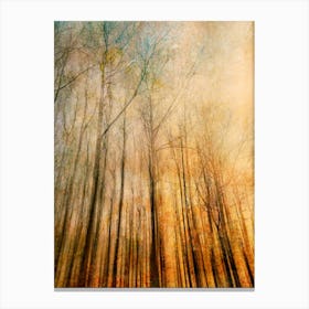 Visions Of Autumn Canvas Print