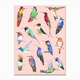 Hummingbirds On Pink Canvas Print