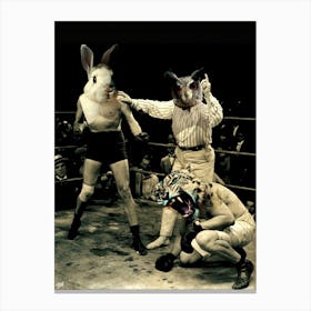 Rocky Rabbit Canvas Print