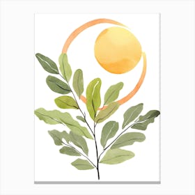 Sun And Leaf 1 Canvas Print