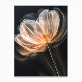 White Poppy Canvas Print