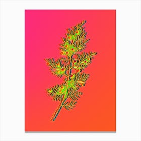 Neon Phoenicean Juniper Botanical in Hot Pink and Electric Blue Canvas Print