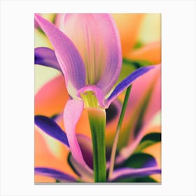 Lady Slipper Orchid 2 Colourful Illustration Plant Canvas Print