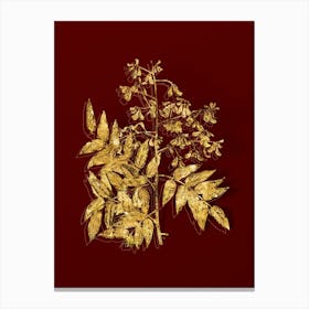 Vintage Japanese Pagoda Tree Botanical in Gold on Red n.0043 Canvas Print