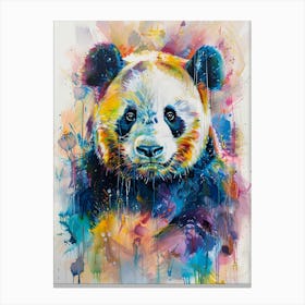 Giant Panda Colourful Watercolour 3 Canvas Print