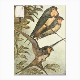 Birds Painting Canvas Print