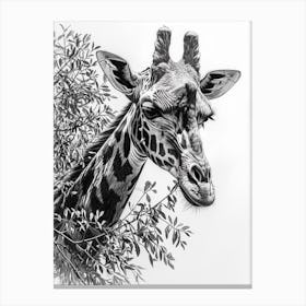 Pencil Portrait Of A Giraffe In The Trees 1 Canvas Print