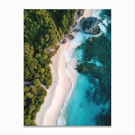 Aerial View Of A Tropical Beach 2 Canvas Print