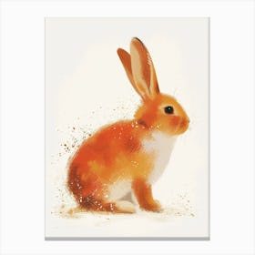Dutch Rabbit Nursery Illustration 1 Canvas Print
