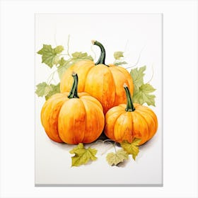 Miniature Pumpkin Watercolour Illustration 3 Canvas Print