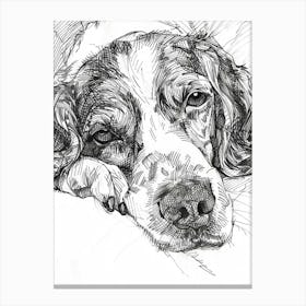 Detailed Sleepy Spaniel Dog Black & White Canvas Print