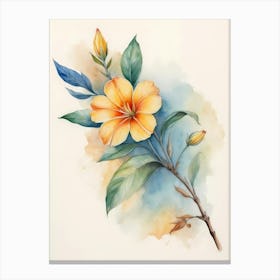 Watercolor Of A Flower Canvas Print