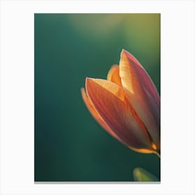 Tulip.Generated AI. Wall Art Print Canvas Print