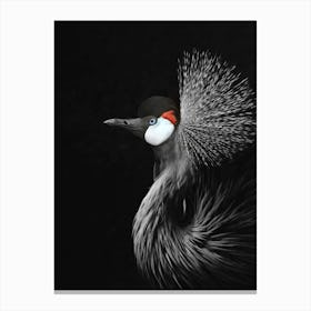 Crowned Crane in Canvas Print