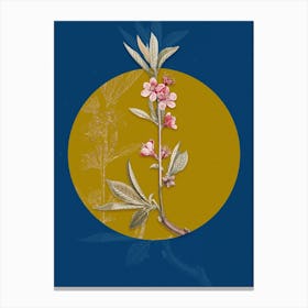 Vintage Botanical Pink Flower Branch on Circle Yellow on Blue n.0149 Canvas Print