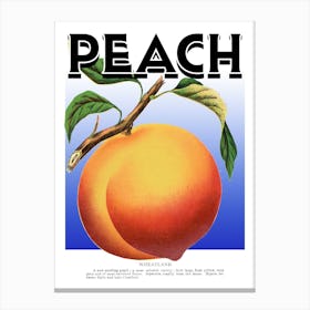 Peach Graphic Wall Art Vintage Unique Eclectic Canvas Print