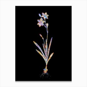Stained Glass Coppertips Mosaic Botanical Illustration on Black Canvas Print