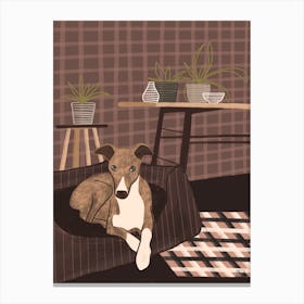 Dog In Living Room Pink Canvas Print