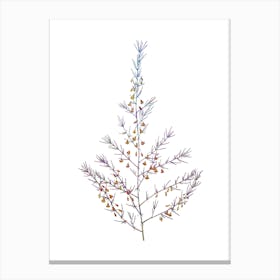 Stained Glass Sea Asparagus Mosaic Botanical Illustration on White Canvas Print