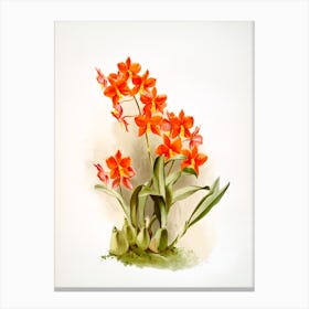 Orange Orchids Vintage 19th Century Plants Painting Canvas Print