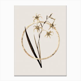 Gold Ring Gladiolus Cuspidatus Glitter Botanical Illustration n.0192 Canvas Print