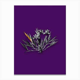 Vintage Dwarf Crested Iris Black and White Gold Leaf Floral Art on Deep Violet Canvas Print