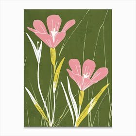 Pink & Green Veronica 3 Canvas Print