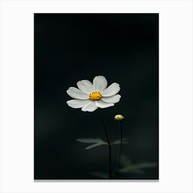 White Flower 10 Canvas Print