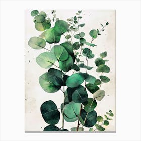 Eucalyptus nature leaves watercolor decoration Canvas Print