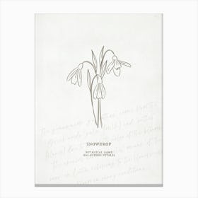 Snowdrop Birth Flower | Antique Canvas Print