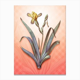 Hungarian Iris Vintage Botanical in Peach Fuzz Tartan Plaid Pattern n.0199 Canvas Print