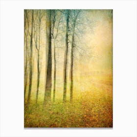 Woodland Edge Canvas Print