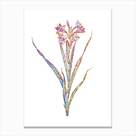 Stained Glass Sword Lily Mosaic Botanical Illustration on White n.0050 Canvas Print