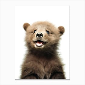 Brown Bear Cub Canvas Print