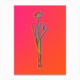 Neon Autumn Onion Botanical in Hot Pink and Electric Blue n.0077 Canvas Print