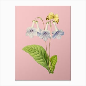 Vintage Canterbury Bells Botanical on Soft Pink n.0925 Canvas Print