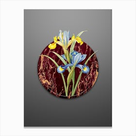 Vintage Spanish Iris Botanical in Gilded Marble on Soft Gray Canvas Print