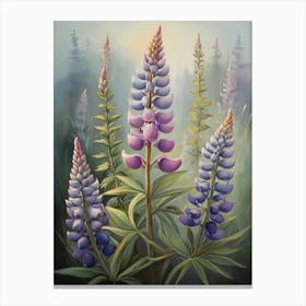 Vintage Lupine Floral Art Canvas Print