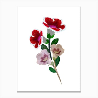 Gloxinia Bouquet Canvas Print