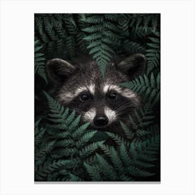 Raccoon In The Forest Toile