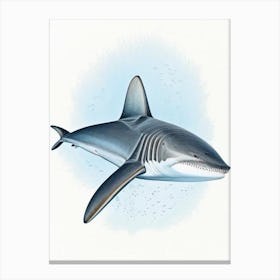 Grey Reef Shark Vintage Canvas Print
