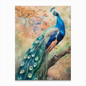 Peacock Pastel Watercolour 2 Toile