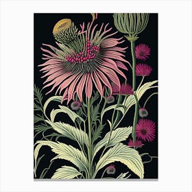 Echinacea 2 Floral Botanical Vintage Poster Flower Canvas Print