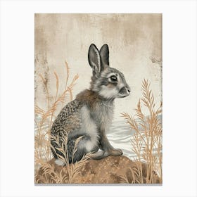 Silver Fox Rabbit Drawing 4 Canvas Print