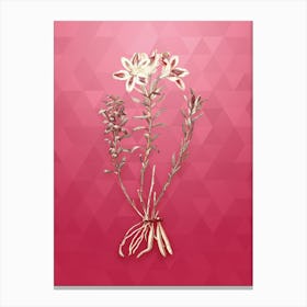Vintage Lily of the Incas Botanical in Gold on Viva Magenta n.0307 Canvas Print