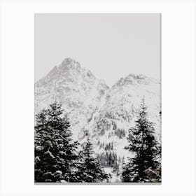 Snowy Mountain Peak Forest Canvas Print
