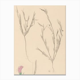 Flora Of California Canvas Print