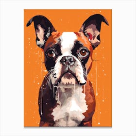 Boston Terrier Canvas Print